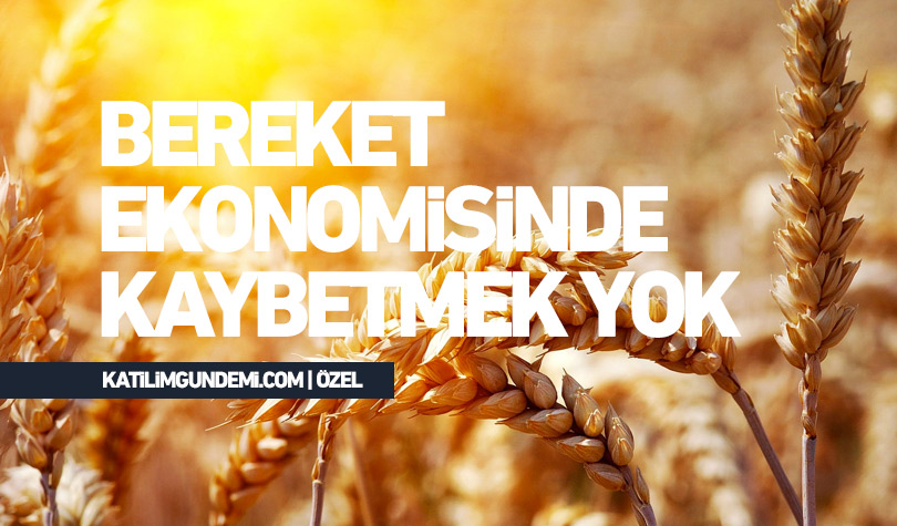 bereket nedir